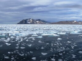 kde jsme měli vystoupit na břeh k prohlídce