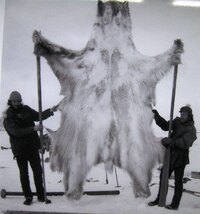 i jejich úlovků (ufff, ten tedy je !)