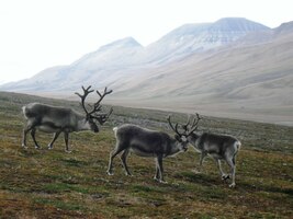 Pasou se a sledují nás jen po očku