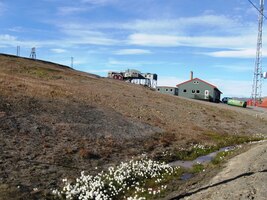 a vegetace se všelijak snaží