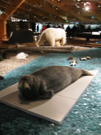 Hlavní expozice ovšem patří zvěři