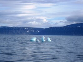 Od ledovce k nám připluly kry