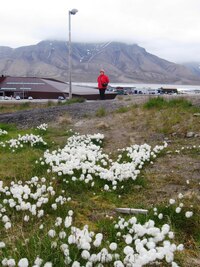 a tady už jsme v městečku Longyearbyen