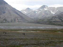 a tak sešli raději níže do údolí
