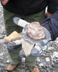 a našli jsme i zajímavé fosilie