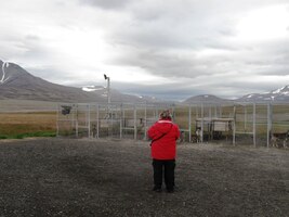 útulku pro psí spřežení