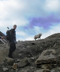 V čele vůdce a jeho pes