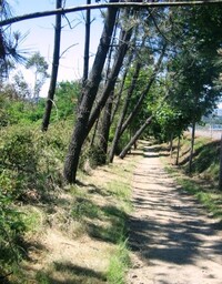 odkud za pár dní poletím DOMU