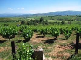 což ale nelze rozhodně považovat za jeho úpadek