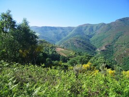 vypadá to tu totiž jako u nás před padesáti lety!