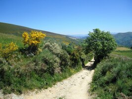 a nejvýše ve svahu položenou vesnicí La Faba
