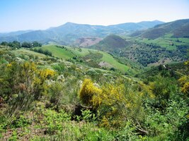 A mezi nimi leží celé Bierzo, ten krásný vinařský kraj