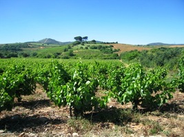 V podvečer se objevuje na obzoru div divoucí -