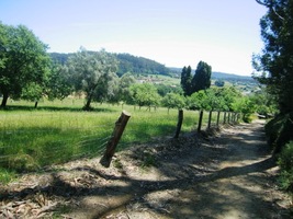 i volnou galicijskou krajinou