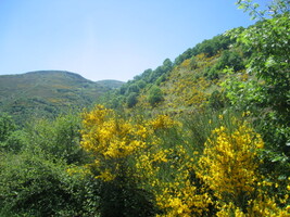 Připadal jsem si tam jako v Beskydech