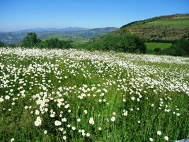 Pohled z oken ubytovny v Hospital de Condesa