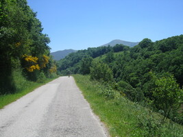 Občas se to ale narovnalo