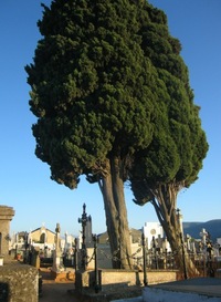 s vedlejší ubytovnou poutníků (z 12. století)