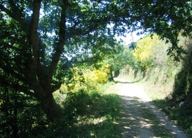 a převažuje vedro - je přece už konec května