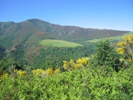 Kopečky, pastviny, kravičky, koníčci...