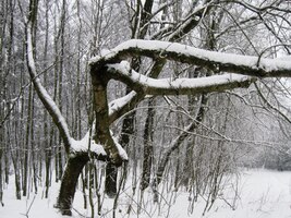 Krásné jsou tu detaily