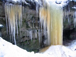 které se účastní jejich vzniku