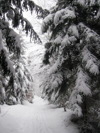 sněhu bývá často po kolena