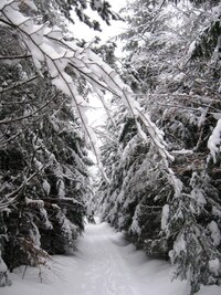 Chce to dobré boty, návleky a nesmeky -