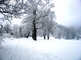 a zamiřme konečně k hlavnímu cíli - k ledopádům