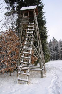 Většinou se však chodí českými lesy