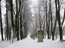 První terénní překážkou je Křížová hora