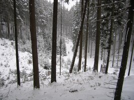 Pak ale cesta strmě klesá do rokle