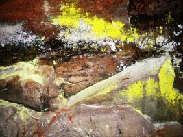 a i ty největší mrazy "s úsměvem" ignoruje