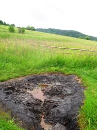 Přírodní vývěr ropného pramene!