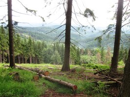 S hřebenem se loučíme na Jakubovském vrchu