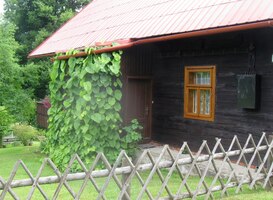 už mají většinou nové majitele