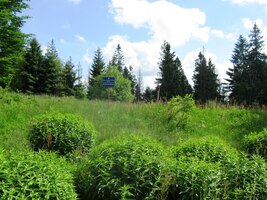 Také počasí bylo dobré