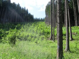 Tudy asi mělo něco vést a pak z toho naštěstí sešlo