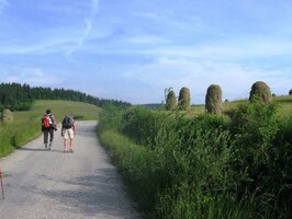 Ráno vyrážíme z Lehotské (část Oravské Lesné)