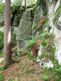 Jde o skály v nepřístupném strmém svahu