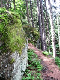 Vracíme se kozí stezkou