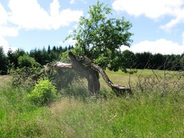 a začínáme stoupat vzhůru