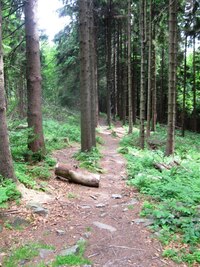 Cesta byla dobrá až špatná