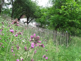 a vládne mu paní Flóra