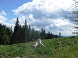 Odpoledne se vyjasnilo