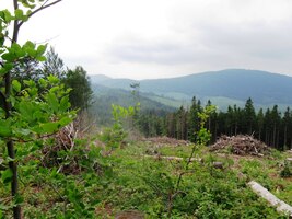 Tak zase vzhůru hřebenem hor dolů,