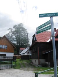 Památný brest (jilm) v osadě Papájovci