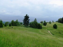 voňavé polany pod ním