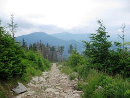 ale pak čím dál tím strmější (a jakoby i delší)