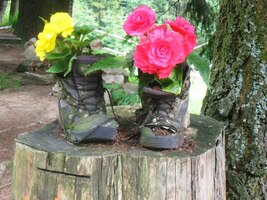 Hle, i boty tu rozkvetly!